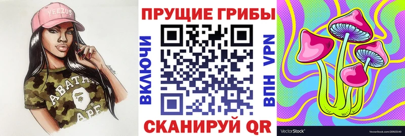 Галлюциногенные грибы Magic Shrooms  Княгинино 